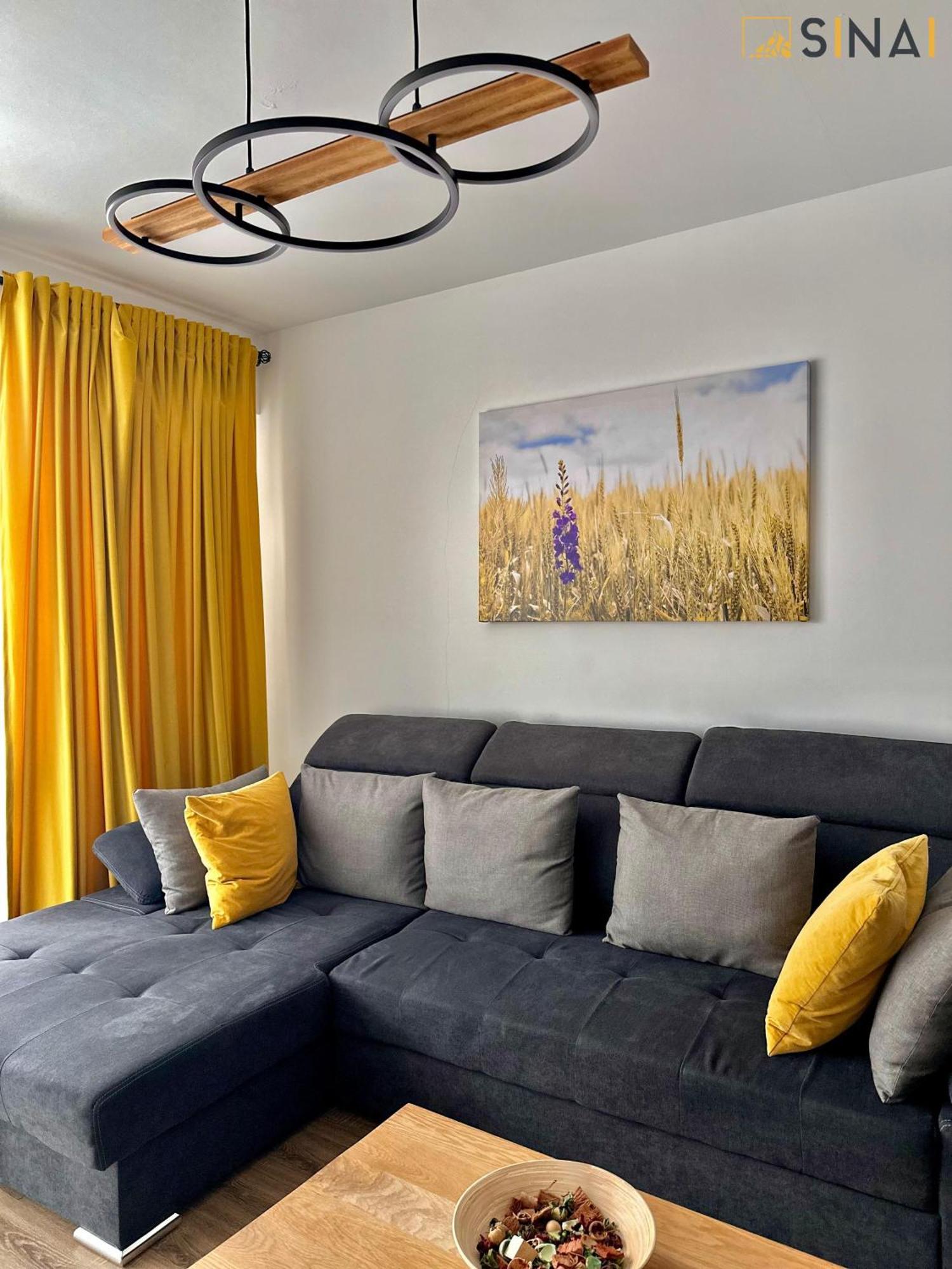 Sinai Aph Apartments Sinaia Buitenkant foto